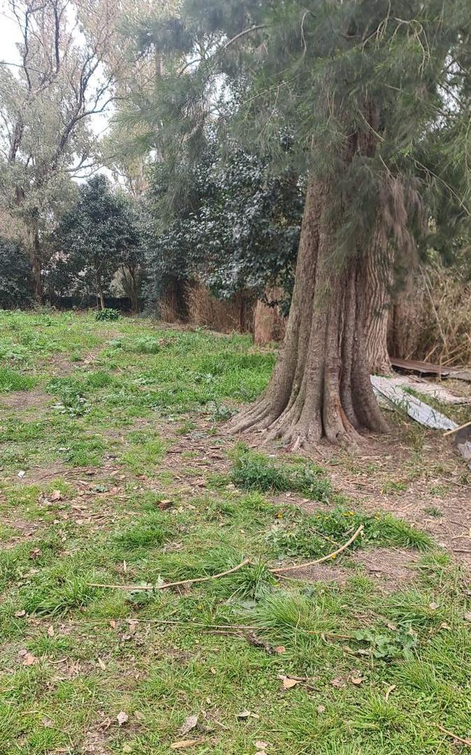 Foto de Terreno en Venta en Torres, Luján | Lote de 1100m2, imagen 1