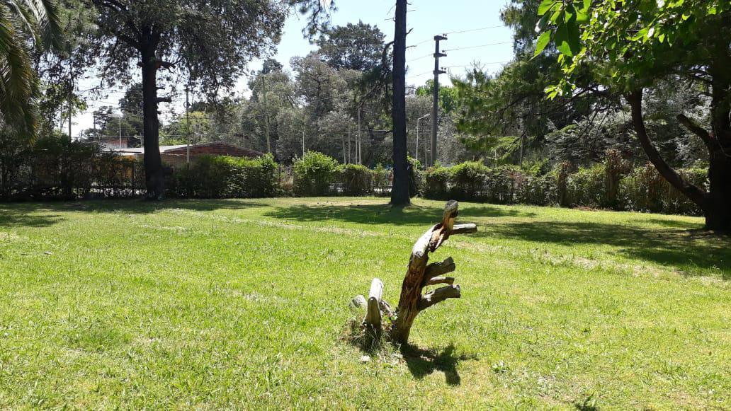 Foto de Terreno 207m2 12X17,25 en Carumbe, imagen 3