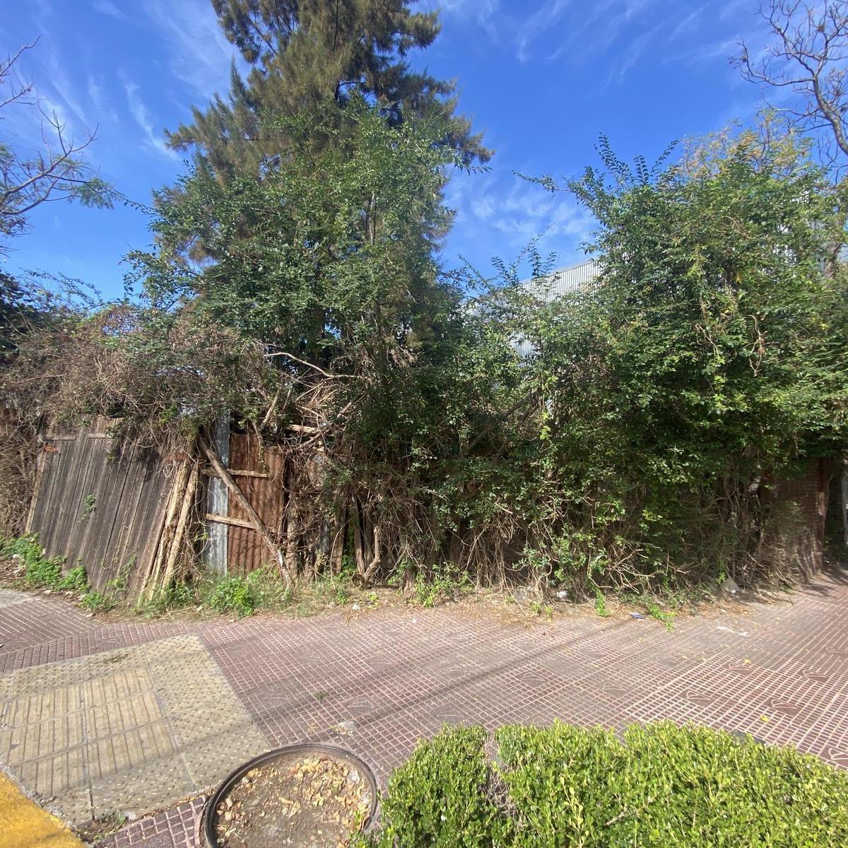 Casa en Venta Para Reciclar Totalmente 4