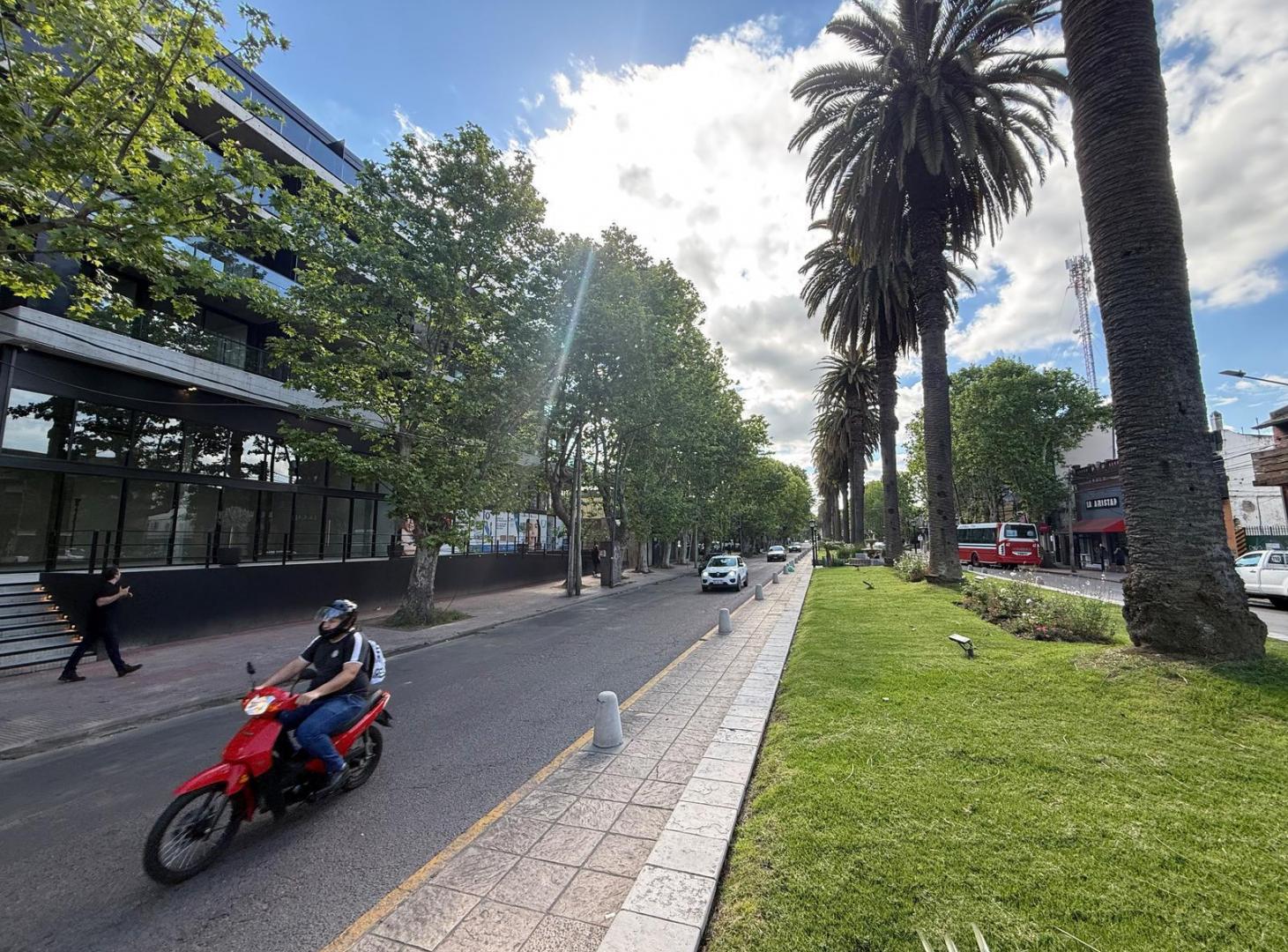 Foto de Departamento en Venta, imagen 3