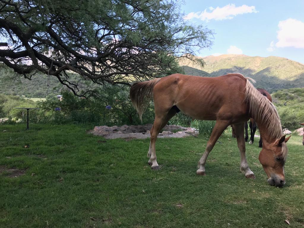 Lote en Venta - Cruz Chica La Cumbre Córdoba 3