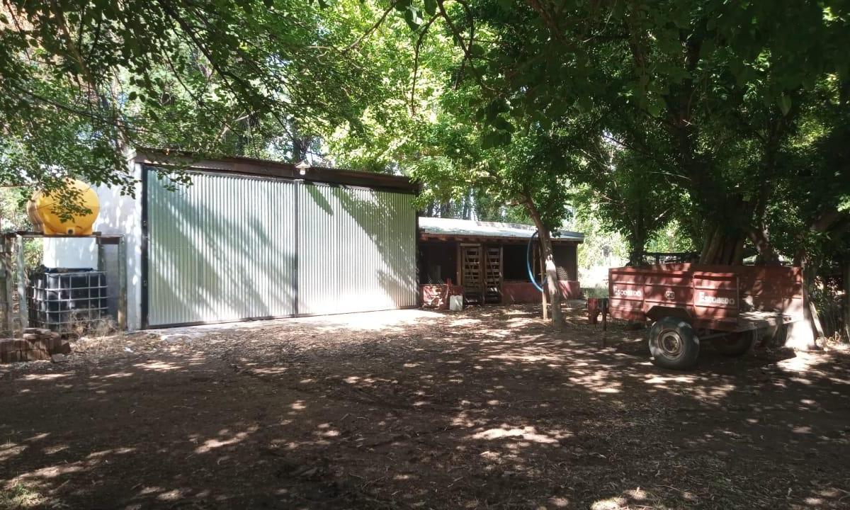 Finca Productiva en San Rafael, Mendoza 2