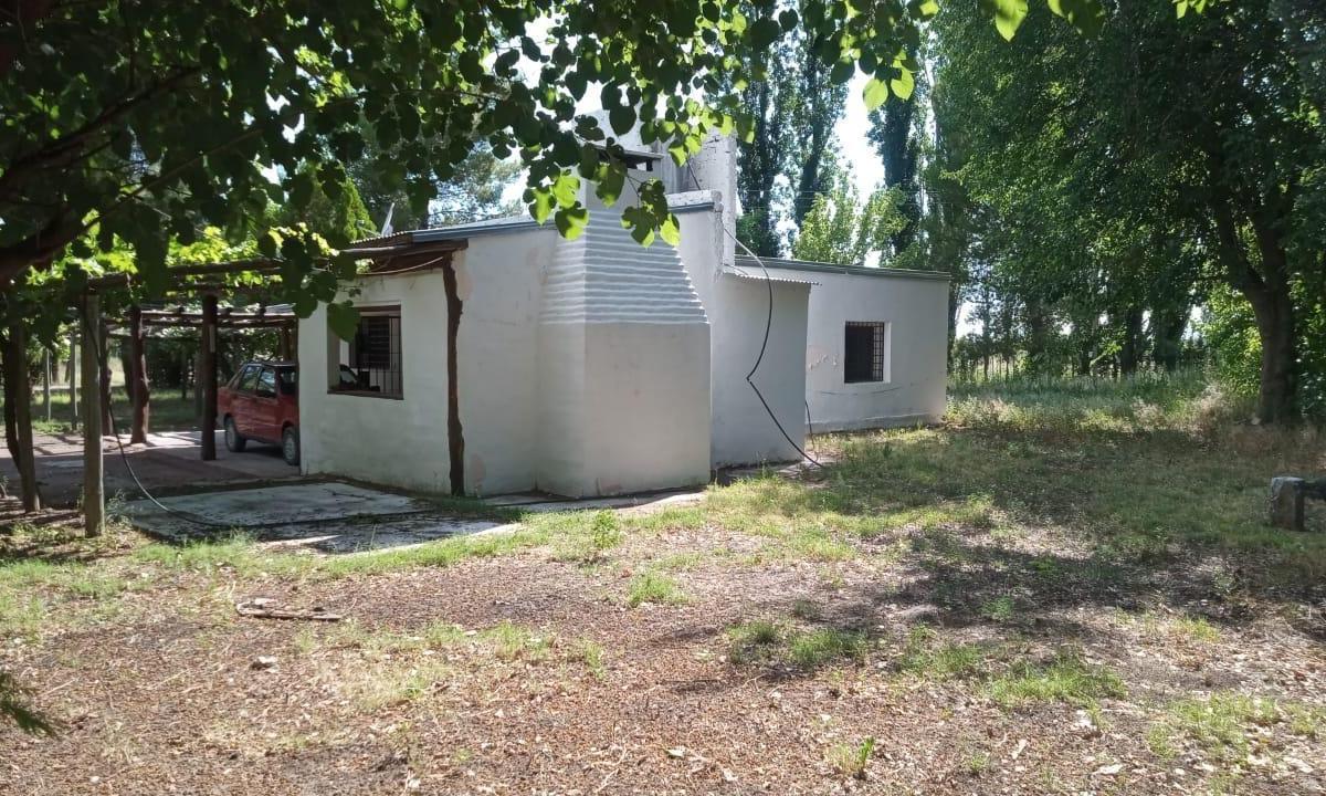 Finca Productiva en San Rafael, Mendoza 4