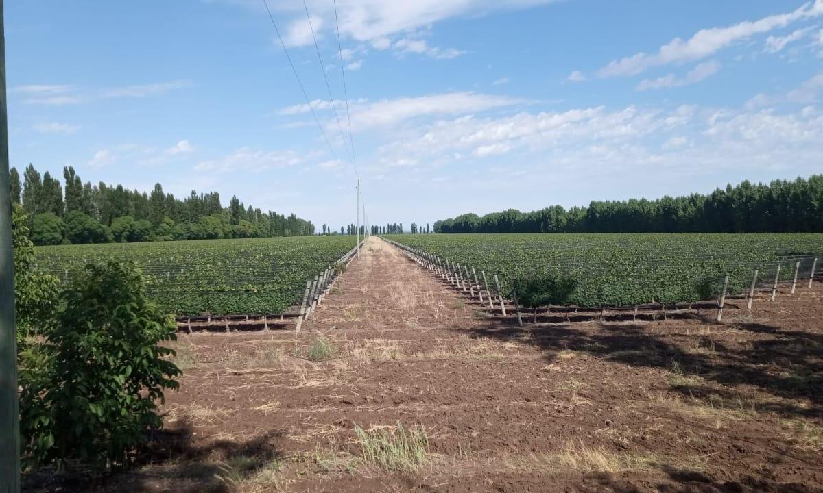 Propiedad en Argentina