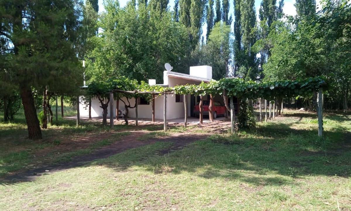 Finca Productiva en San Rafael, Mendoza 5