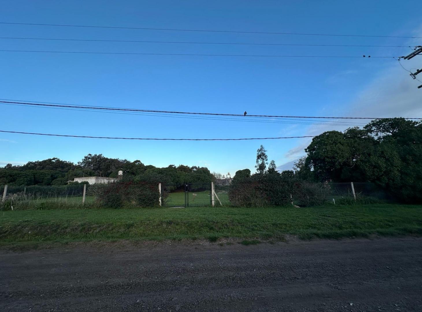 Foto de son 2 terrenos se vende juntos o separados, imagen 2