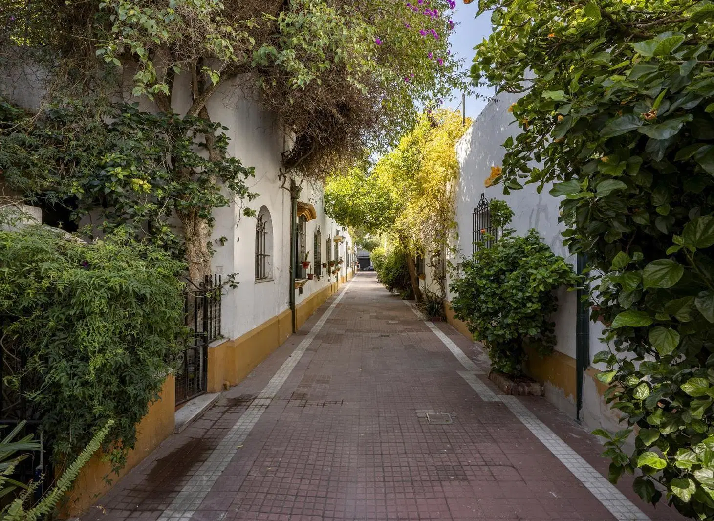 Venta PH 5 ambientes con terraza en Belgrano 2
