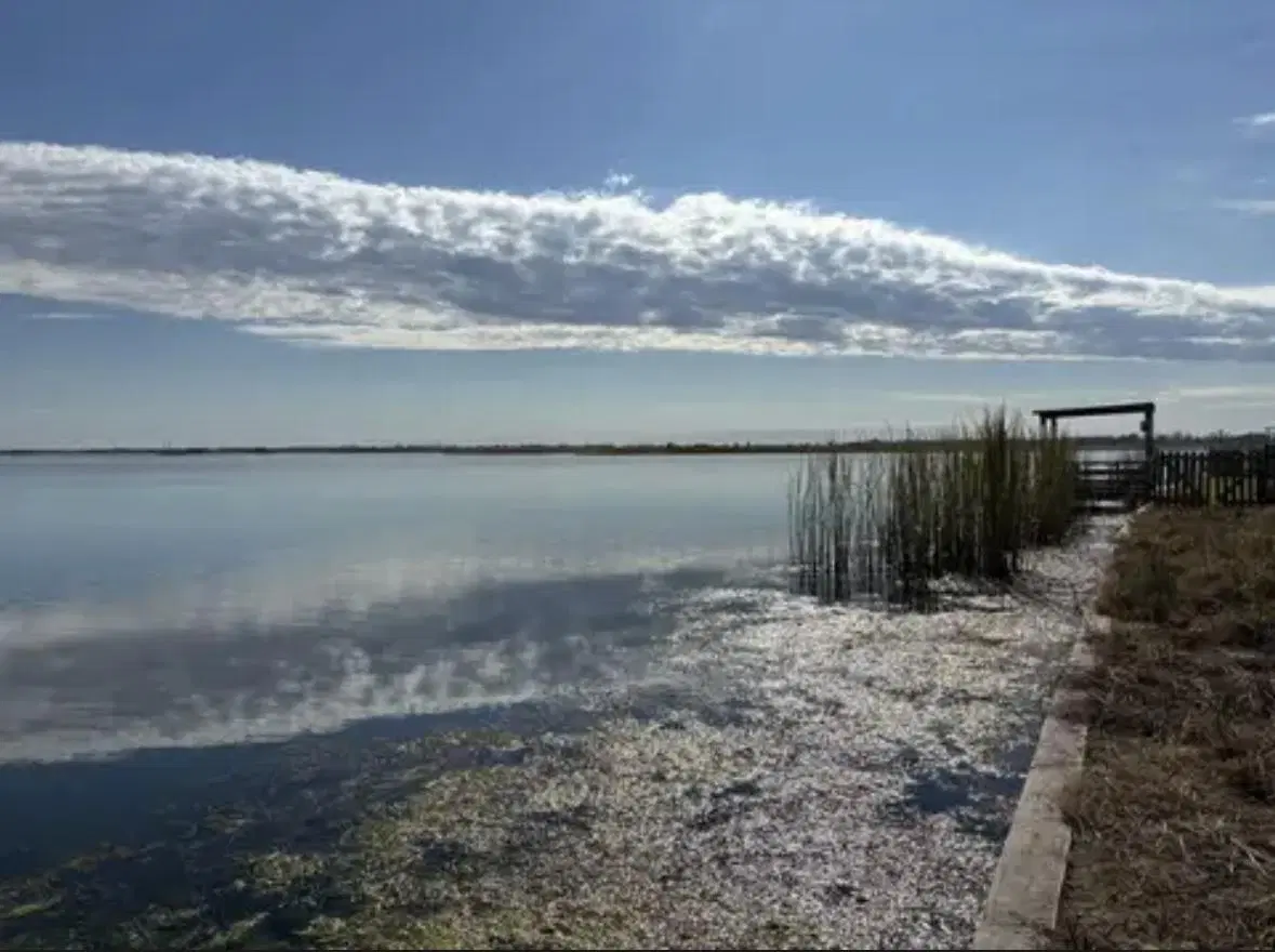 Venta Lote al agua en Barrio Muelles, Puertos del Lago, Escobar 4