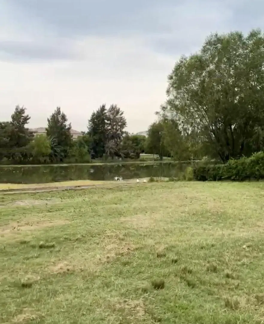 Venta de lote a la laguna de 1246m2 en Barrio Privado San Marco, Villanueva 5