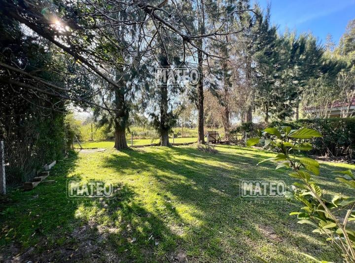 Country Club Banco Provincia, Francisco Alvarez 4