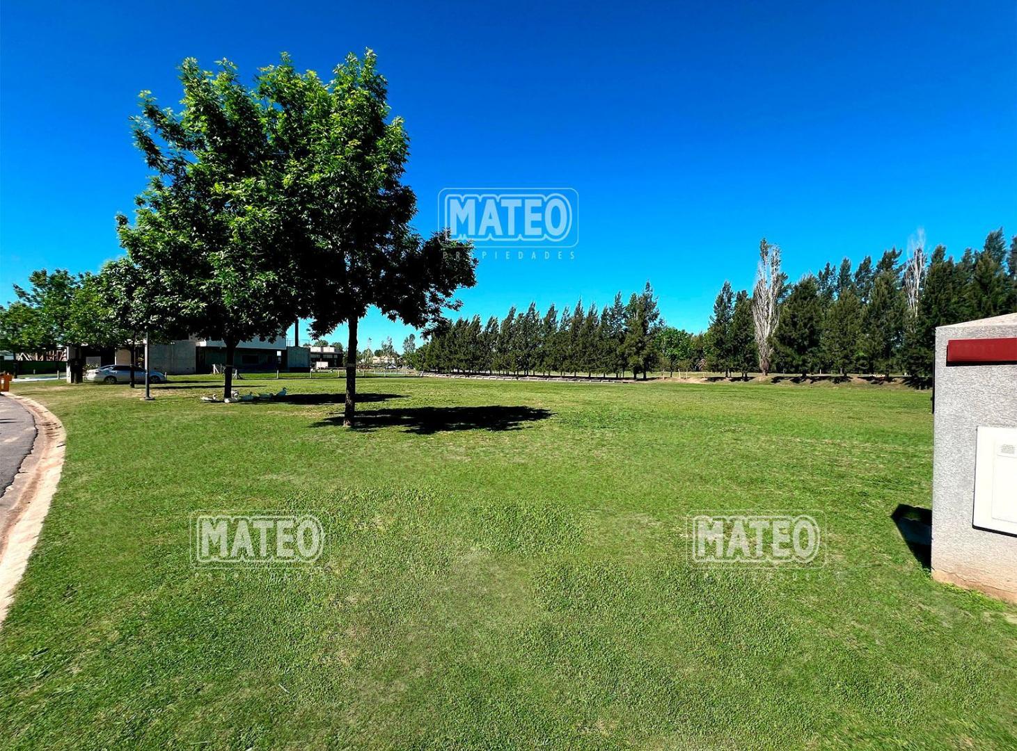 Foto de LOTE CENTRAL CON FONDO A AREA VERDE Y BRAZO DE LA LAGUNA PRINCIPAL, imagen 3
