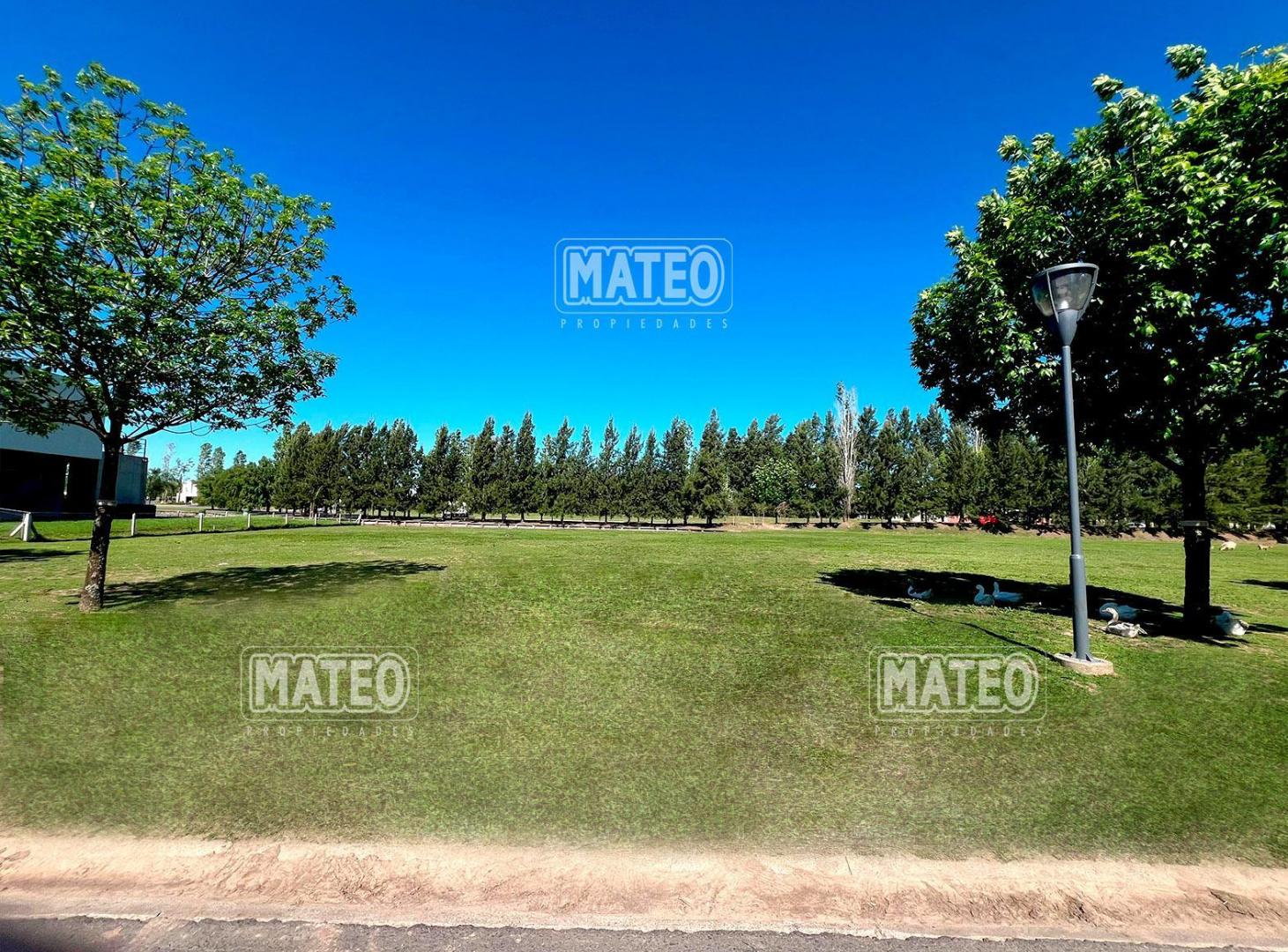 Foto de LOTE CENTRAL CON FONDO A AREA VERDE Y BRAZO DE LA LAGUNA PRINCIPAL, imagen 4