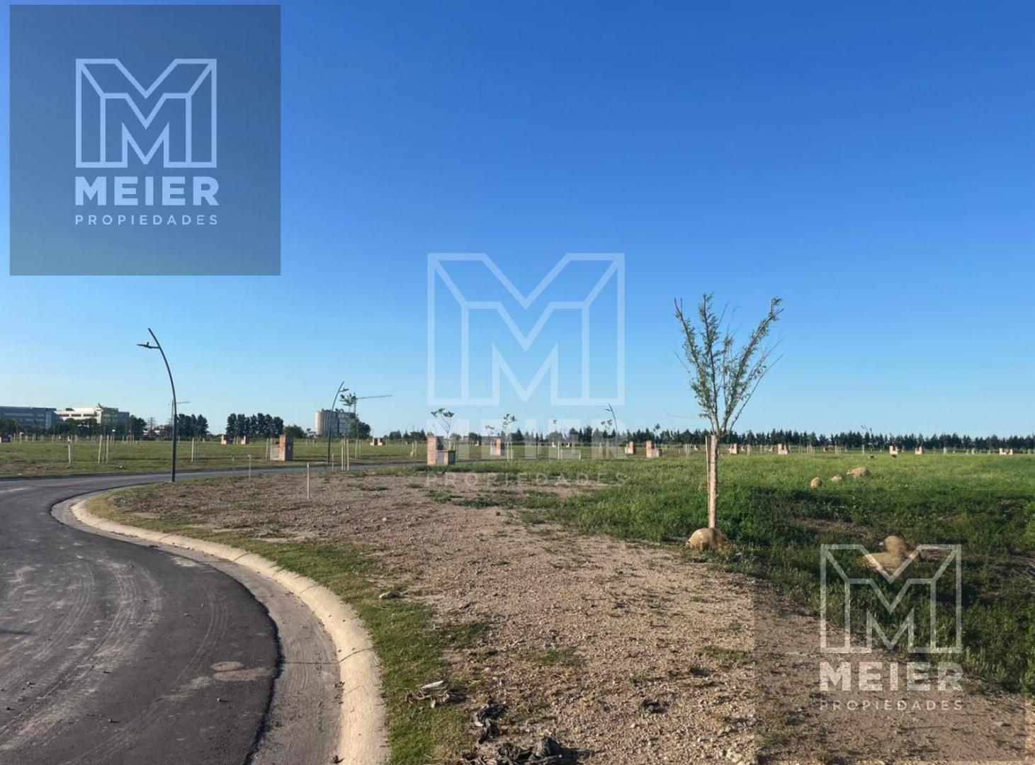 Foto de Venta lote al agua Silvestre, imagen 5