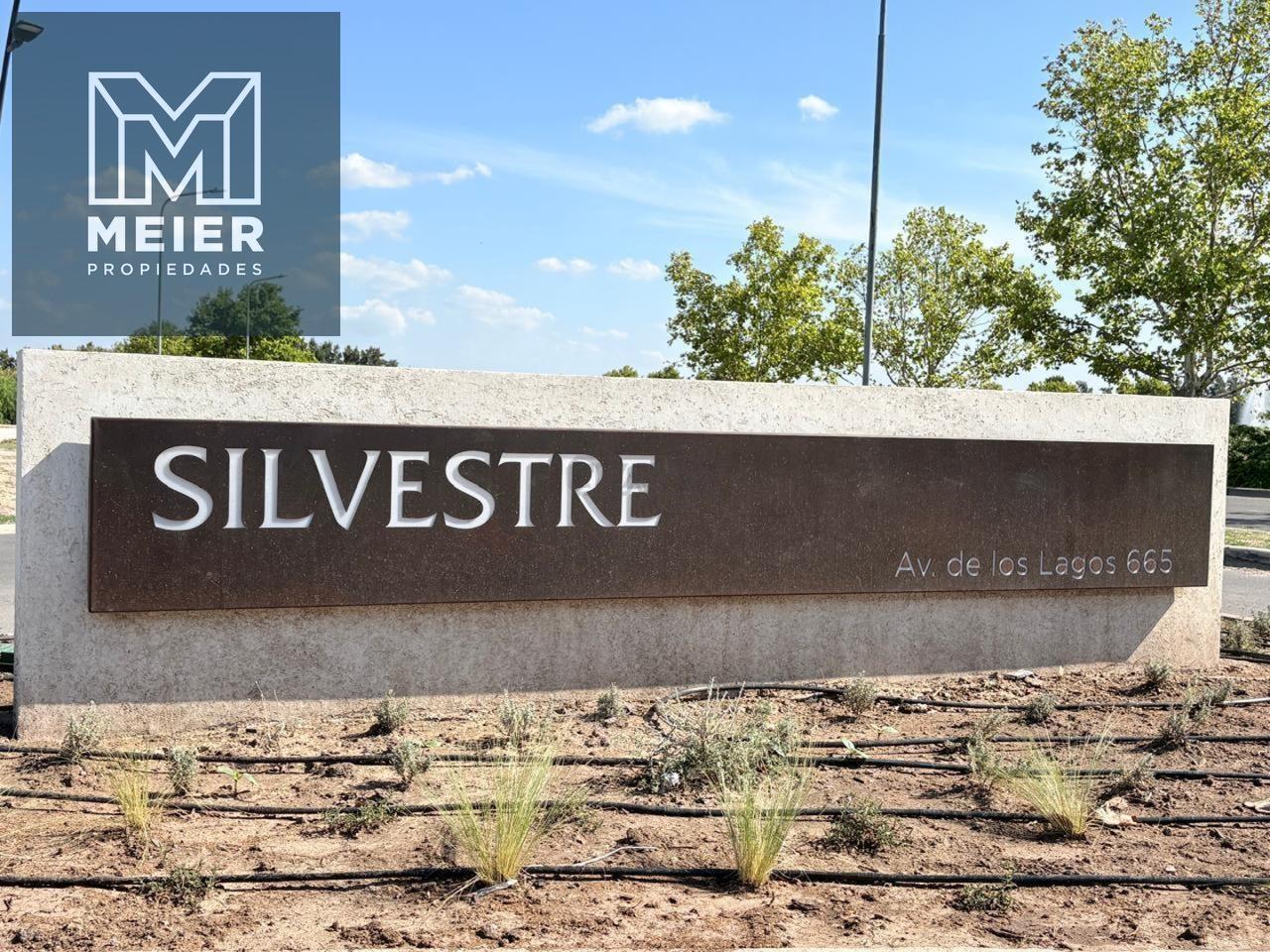 Foto de Lote en venta a laguna central Silvestre, imagen 5