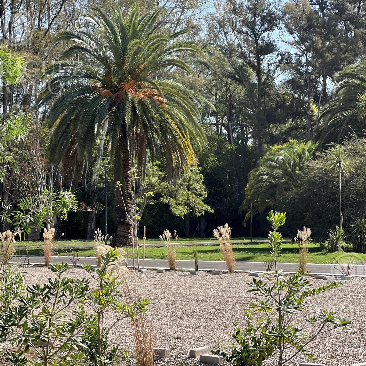 Lote en Venta en La Reserva - La Bota - Benavidez 1