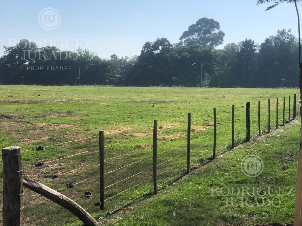 Loteo en Barrio Abierto en San Antonio de Areco con Financiación 1