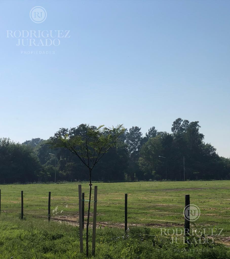 Loteo en Barrio Abierto en San Antonio de Areco con Financiación 5