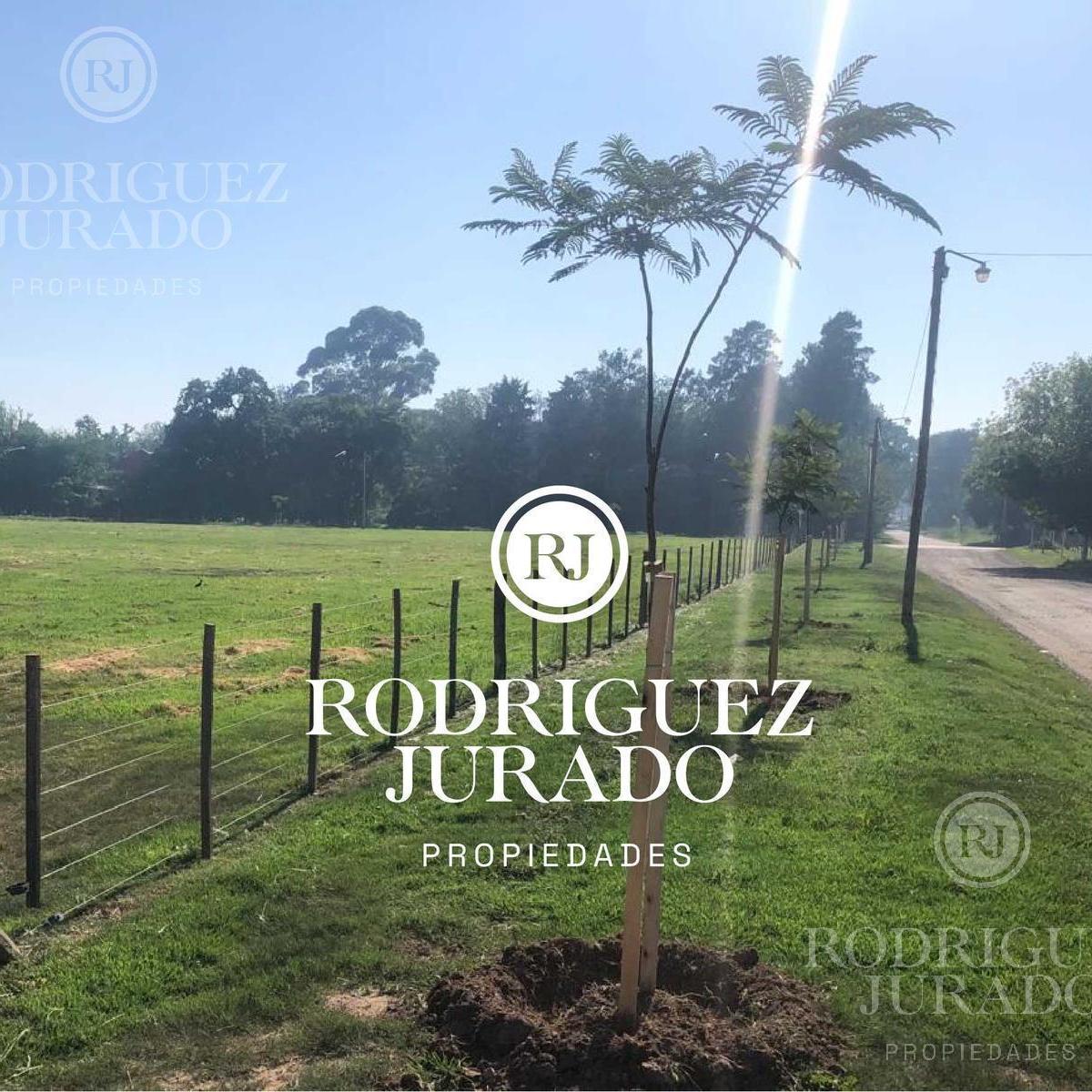Loteo en Barrio Abierto en San Antonio de Areco con Financiación 4