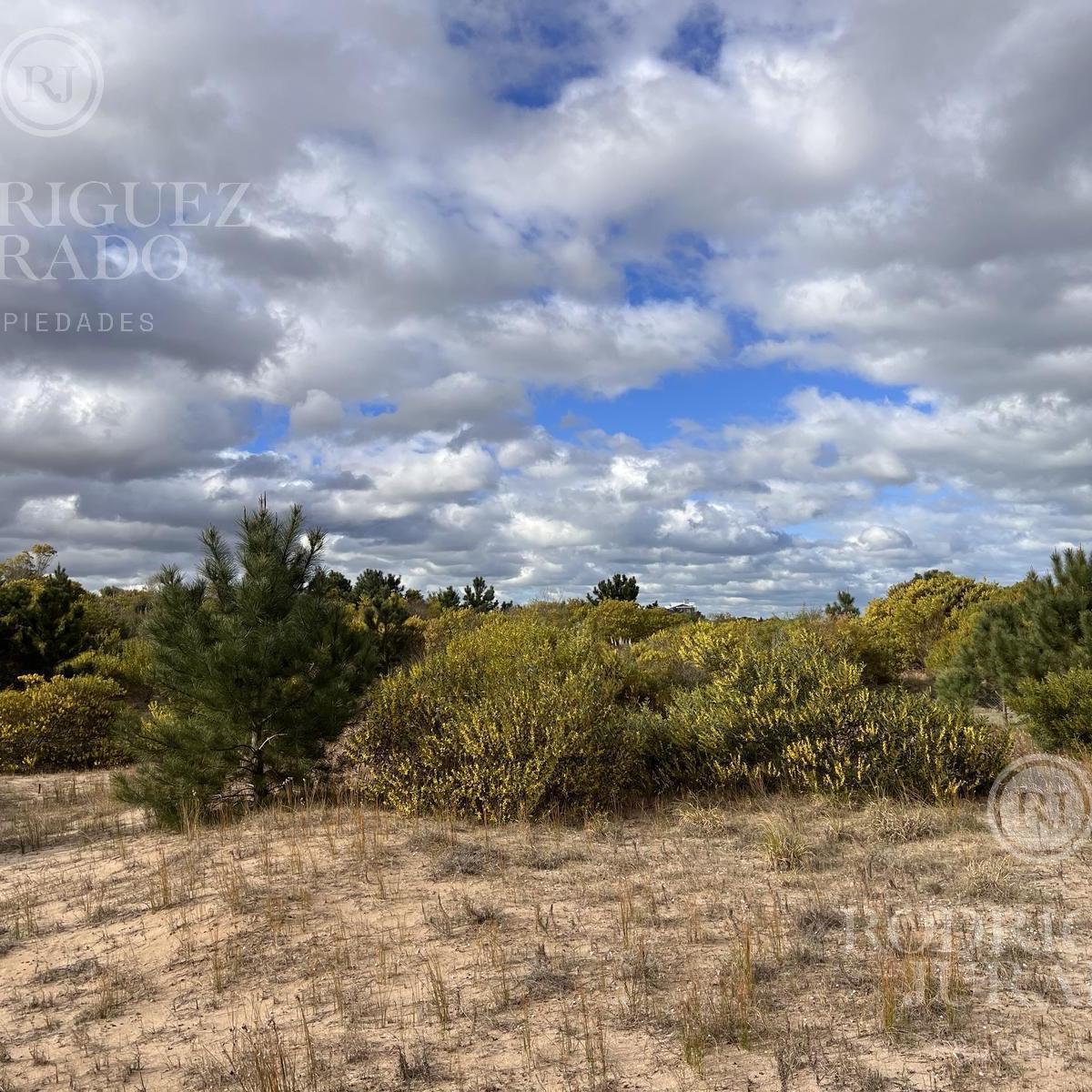 Lote en Venta con Fondo Libre con Anteproyecto Senderos 3 Costa Esmeralda 5