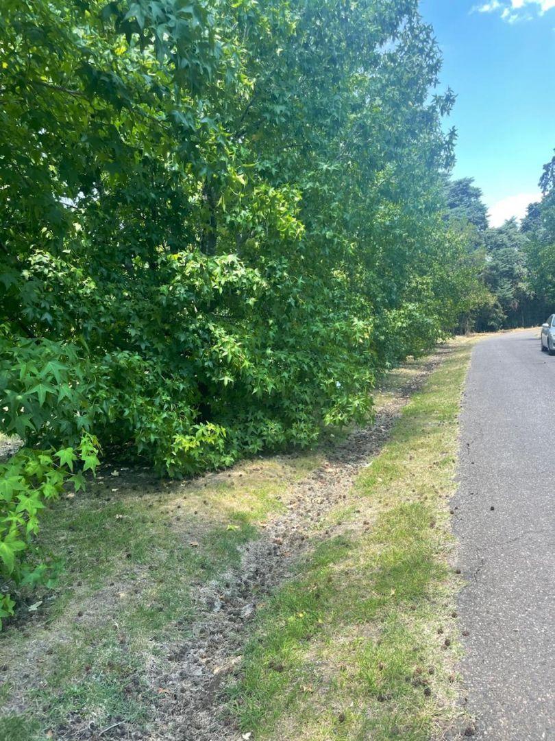 Venta de Lote en Club de Campo San Francisco