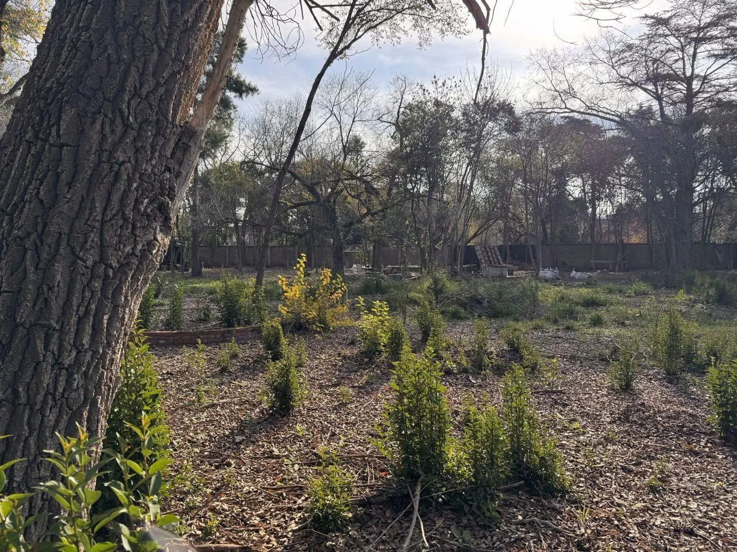 Loteo en venta con excelente acceso, arboleda en Maschwitz Escobar 4