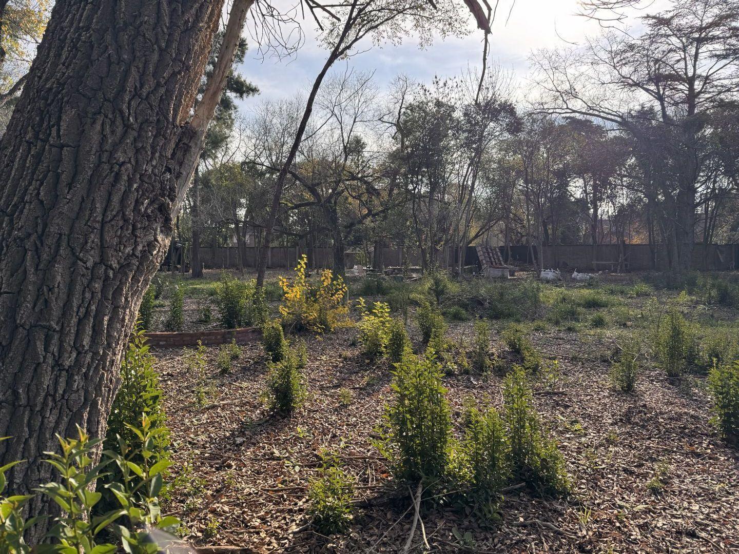 Loteo en venta con excelente acceso, arboleda en Maschwitz Escobar