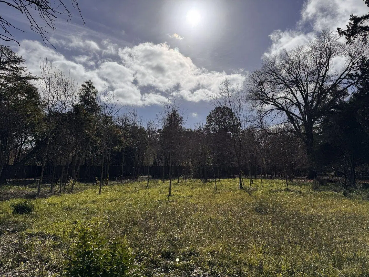 Loteo en venta con excelente acceso, arboleda en Maschwitz Escobar 5