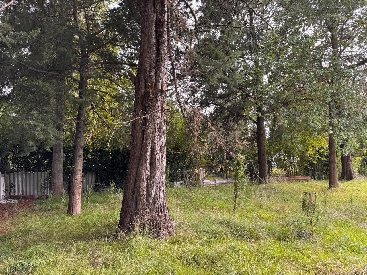 Lote apto desarrollo multifamiliar con proyecto aprobado 5