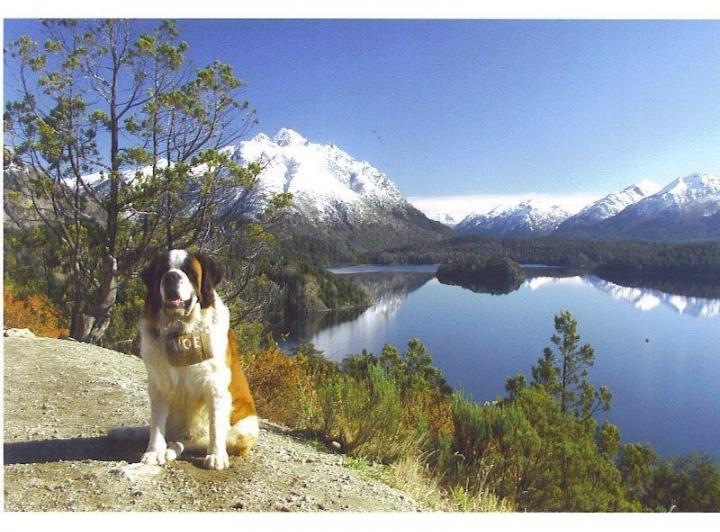 Foto de Casa en Alquiler por día en Bariloche, imagen 5