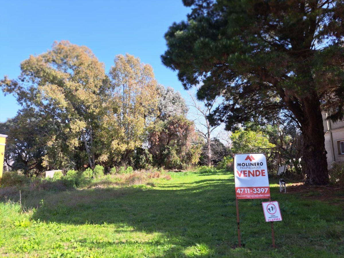 Foto de Excelente Lote De 1000 M2 En El Barrio Las Lomadas, Muy Bajas, imagen 3