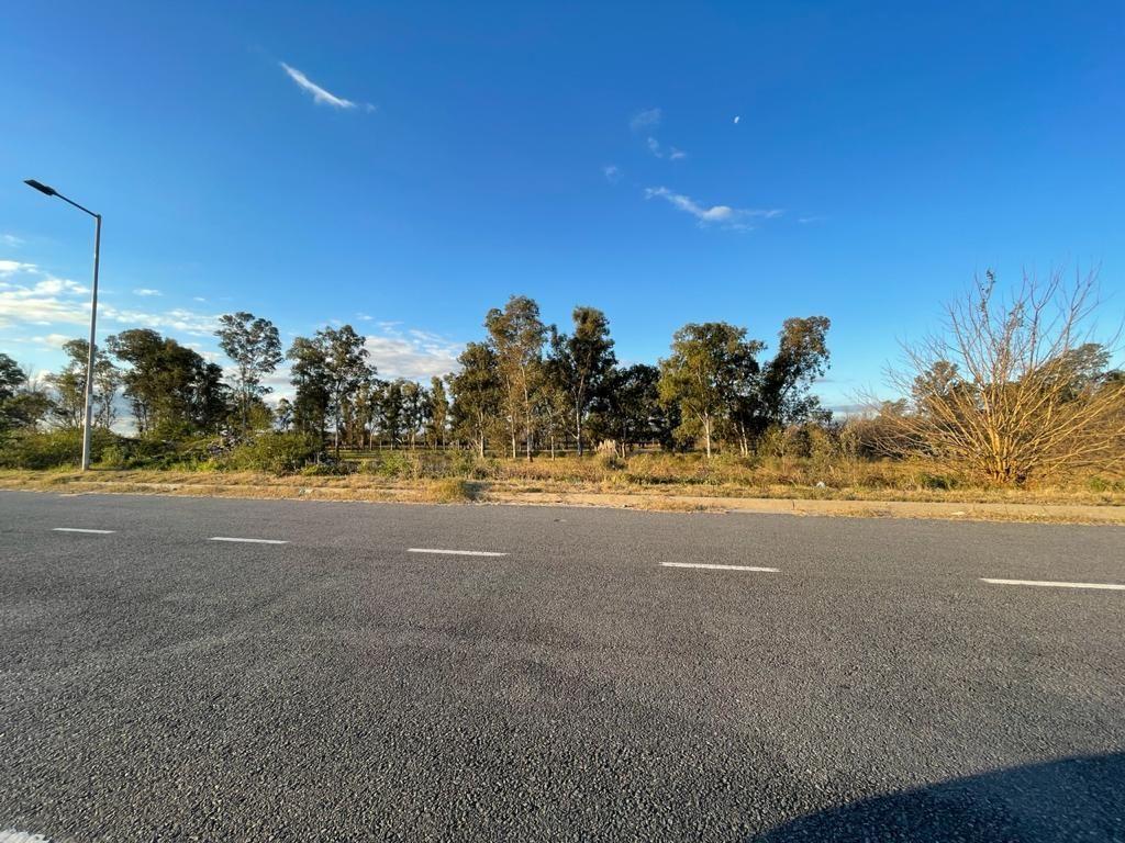 Lote . | COLECTORA ESTE