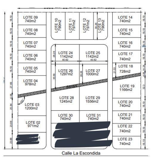 Lote . | La Escondida
