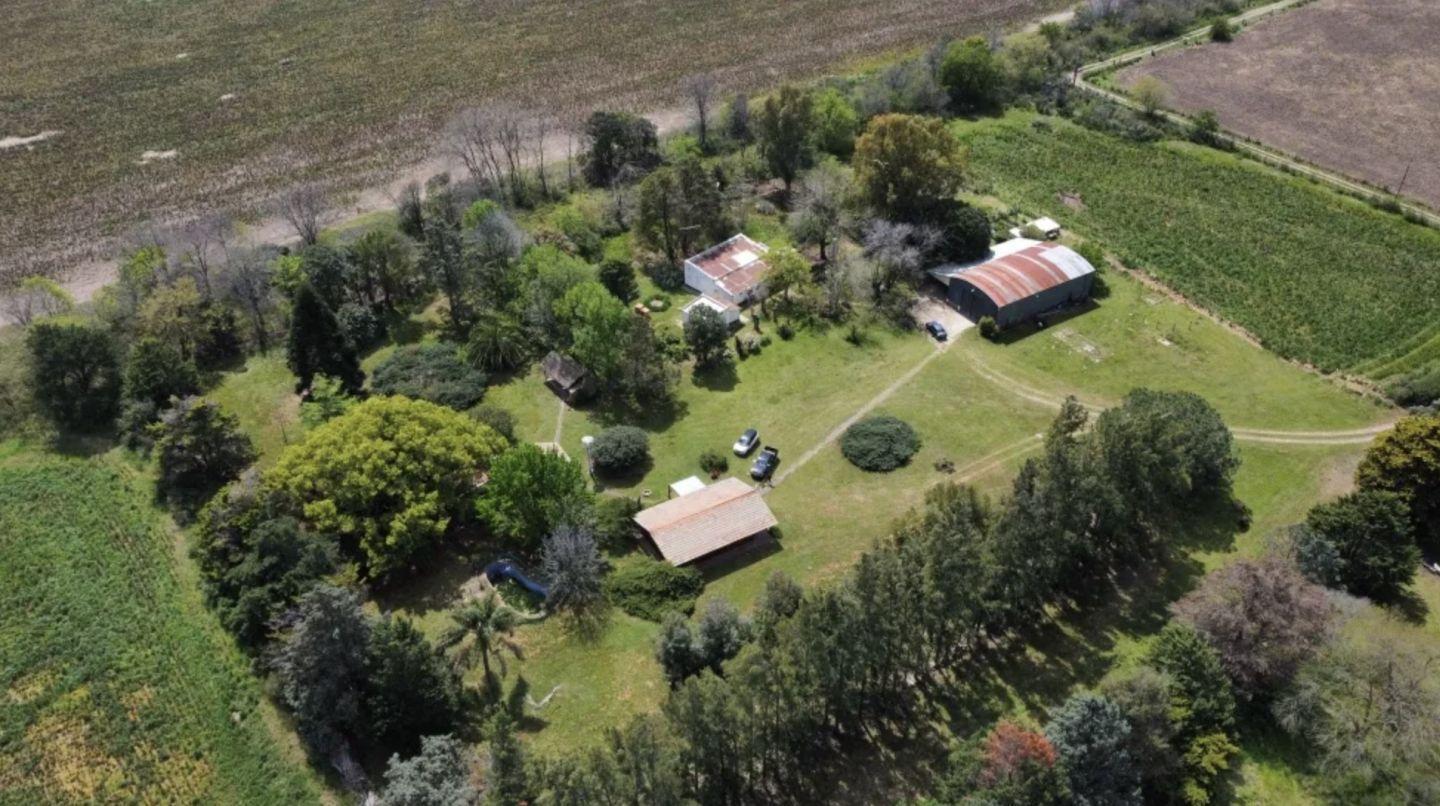 Campo . | ruta 9 al 100
