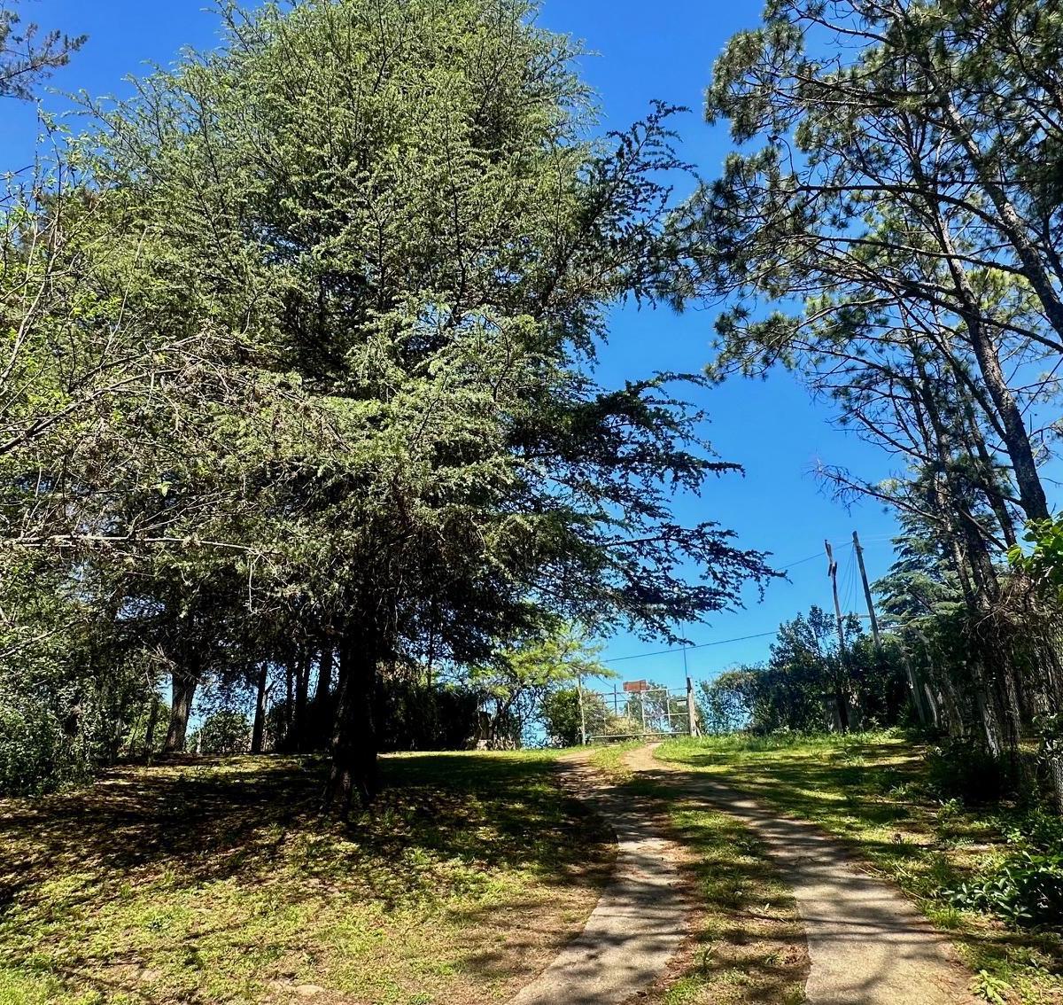 Casa en Venta Potrero de Garay - con Depto Quincho Pileta Gran Terreno 2