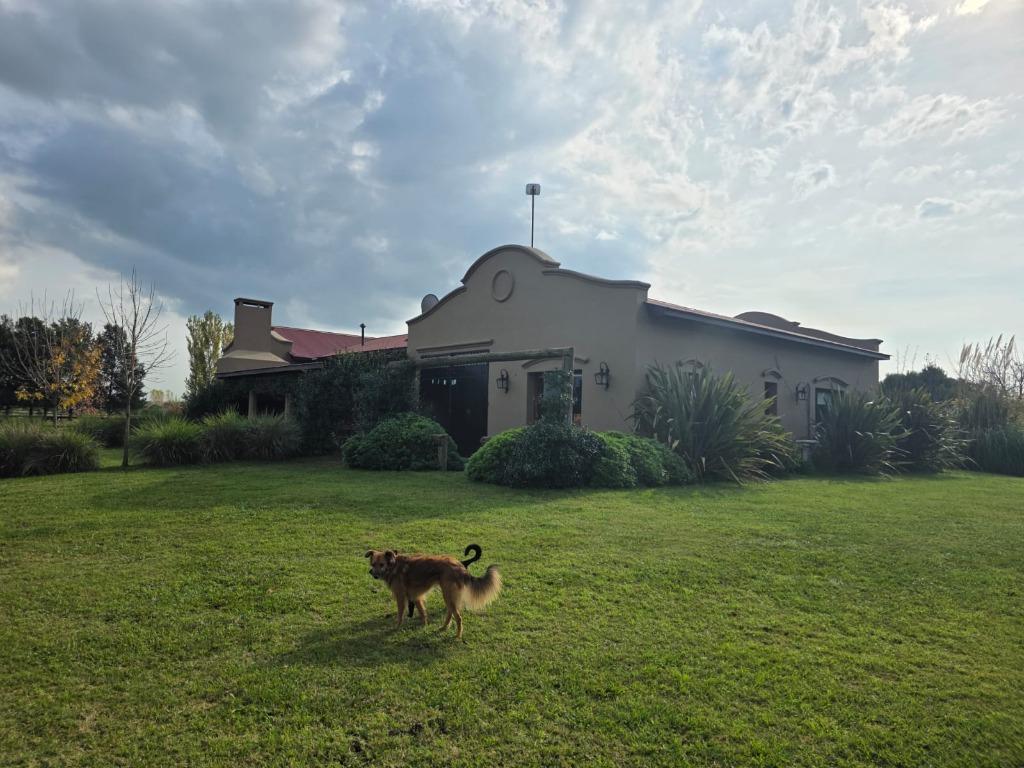 Venta Casa en Estancia Benquerencia farm Club
