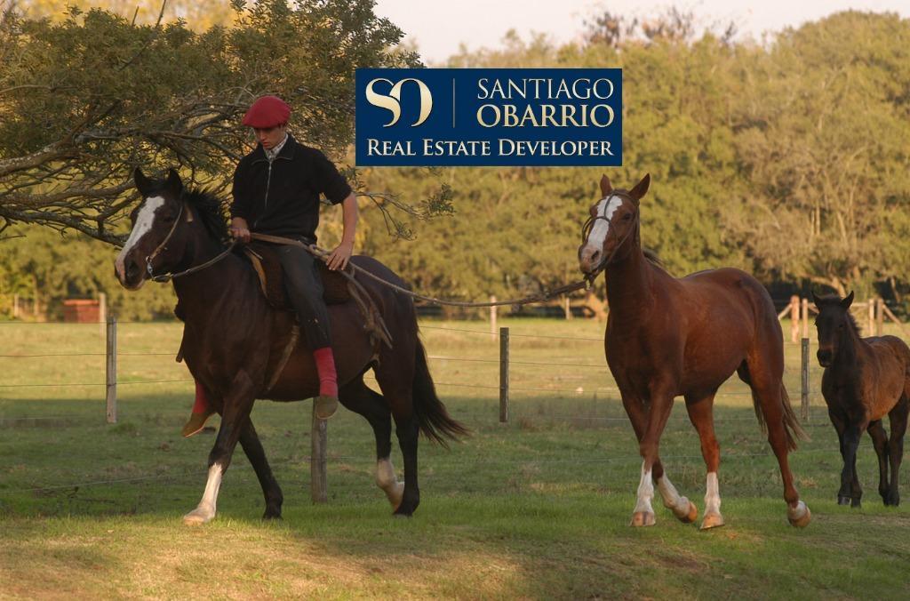 Foto de VENTA CHACRAS y CASAS en BENQUERENCIA San Miguel del Monte, imagen 5
