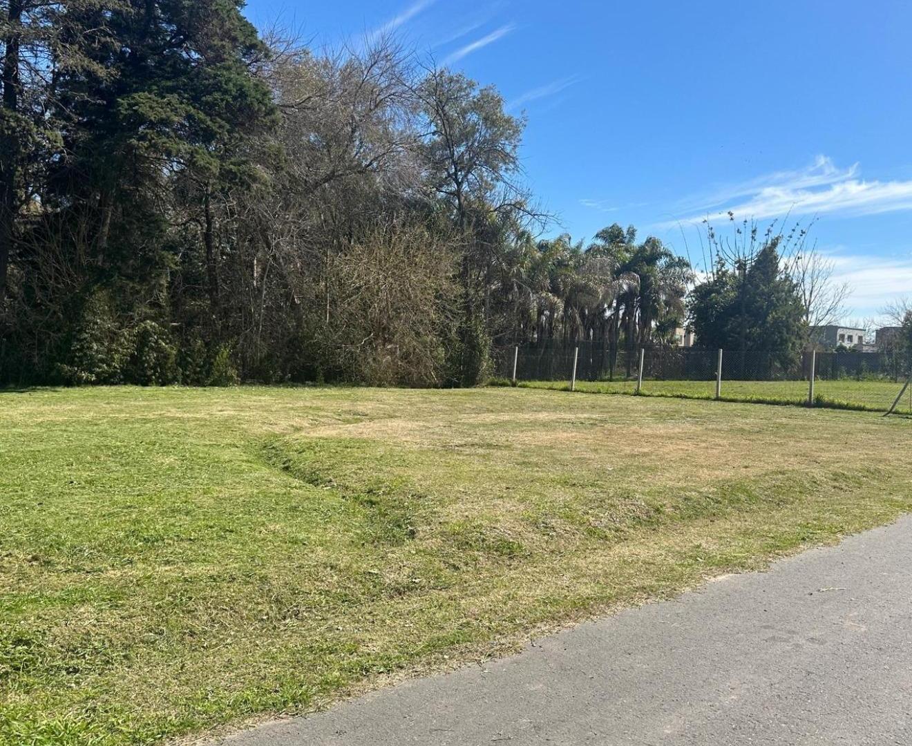 Foto de Venta de Lote en Tortugas Norte - Excelente Ubicación y Entorno, imagen 4