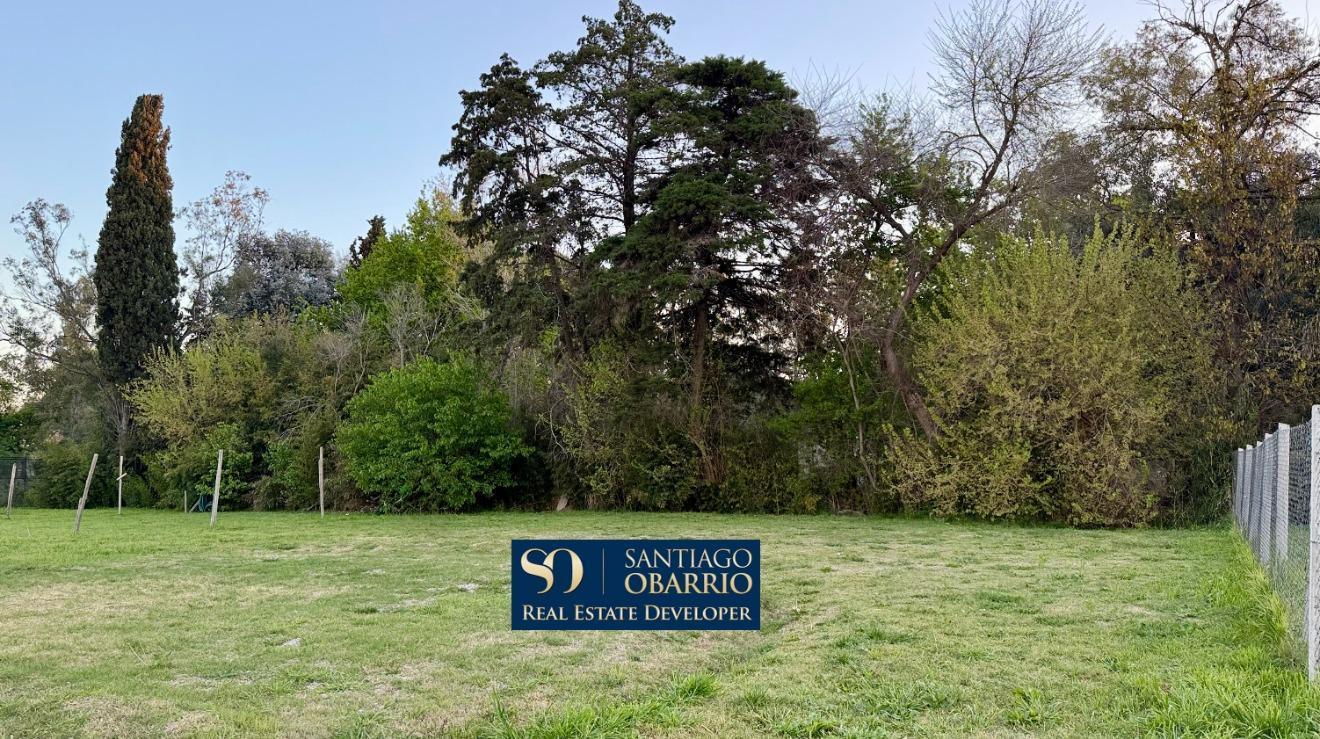 Foto de GRAN LOTE en VENTA OPORTUNIDAD EN TORTUGAS NORTE, imagen 1