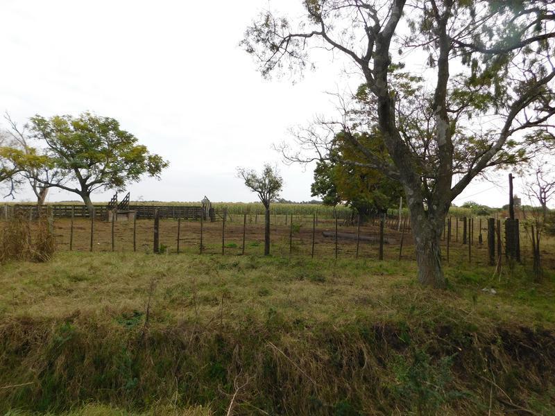 Campo en Venta en Fighiera, Santa Fe 1