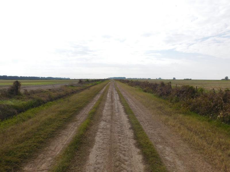 Campo en Venta en Fighiera, Santa Fe 4