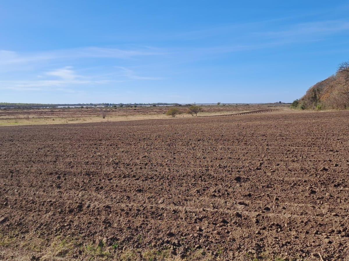 Campo en Venta en Fighiera, Santa Fe 3