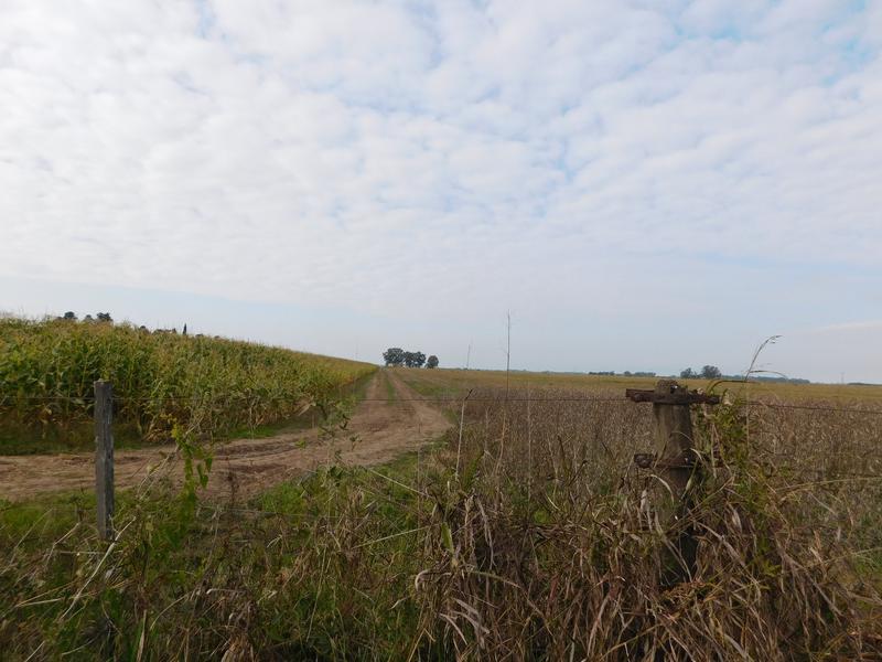 Campo en Venta en Fighiera, Santa Fe 2