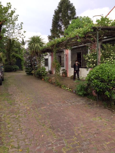 Casa - Martinez 3