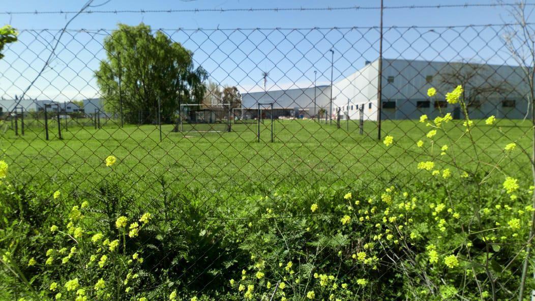 Nave Industrial - Tigre