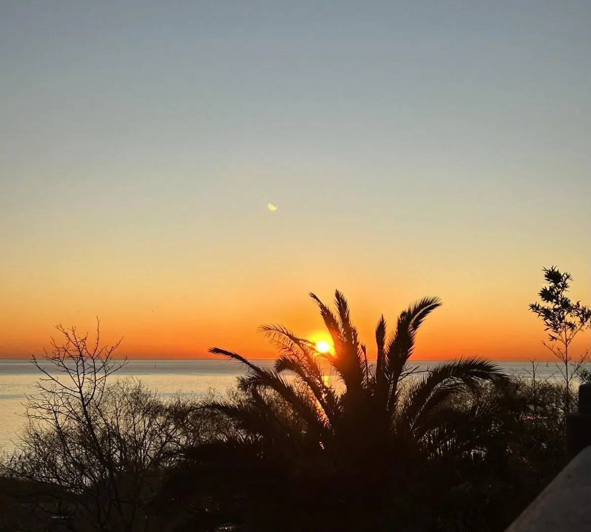 Lote en venta en Martinez en Barrio cerrado Finca Pueyrredón 5