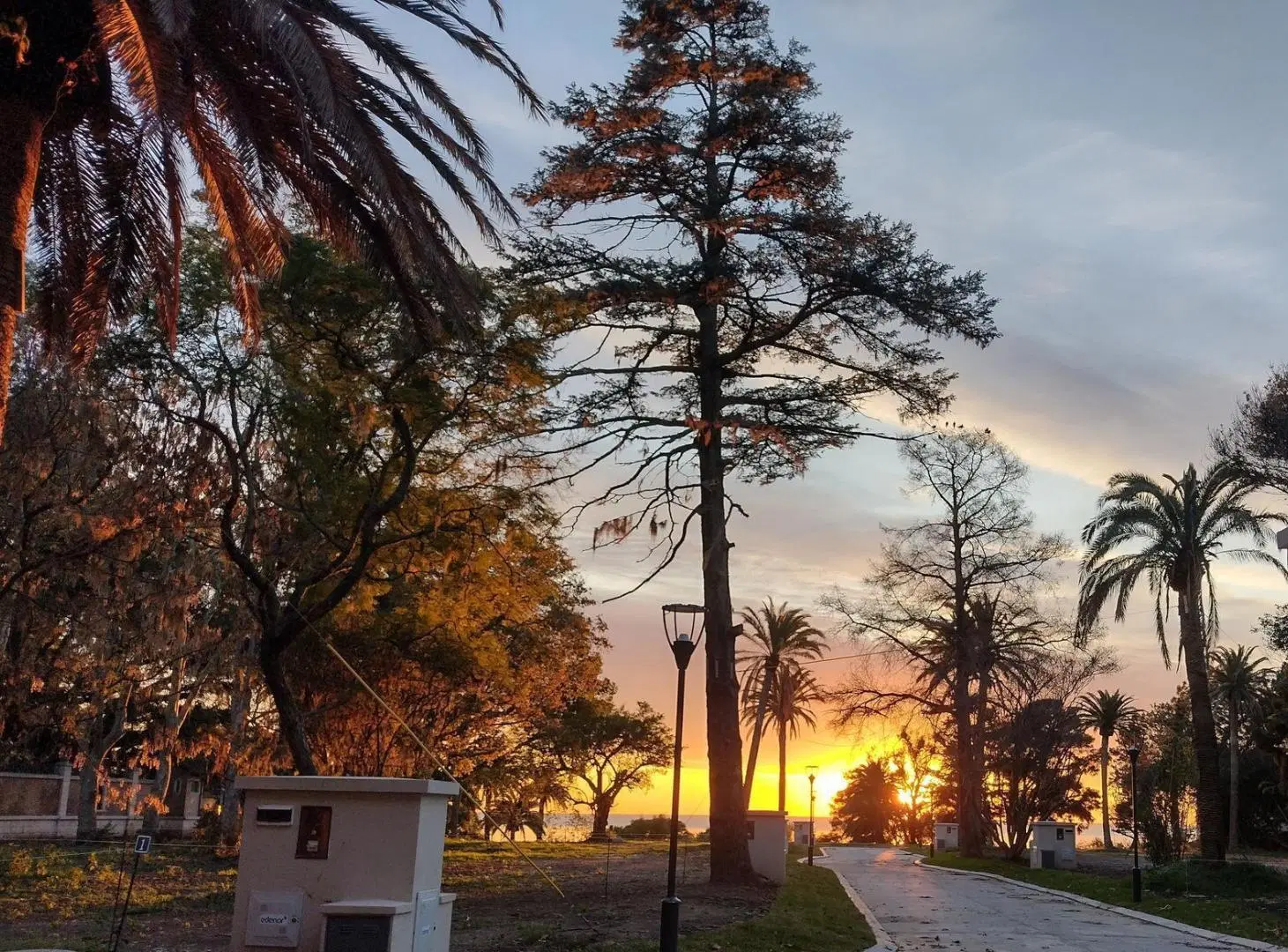 FINCA PUEYRREDON 2