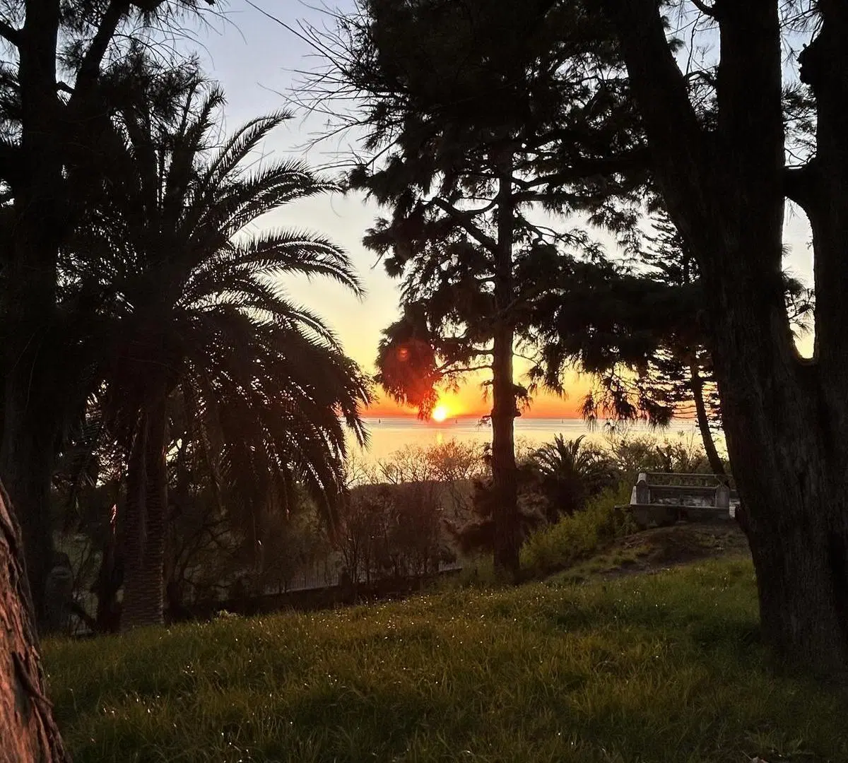 FINCA PUEYRREDON 5
