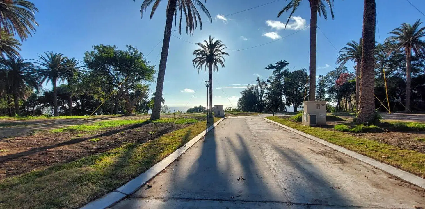 FINCA PUEYRREDON 4