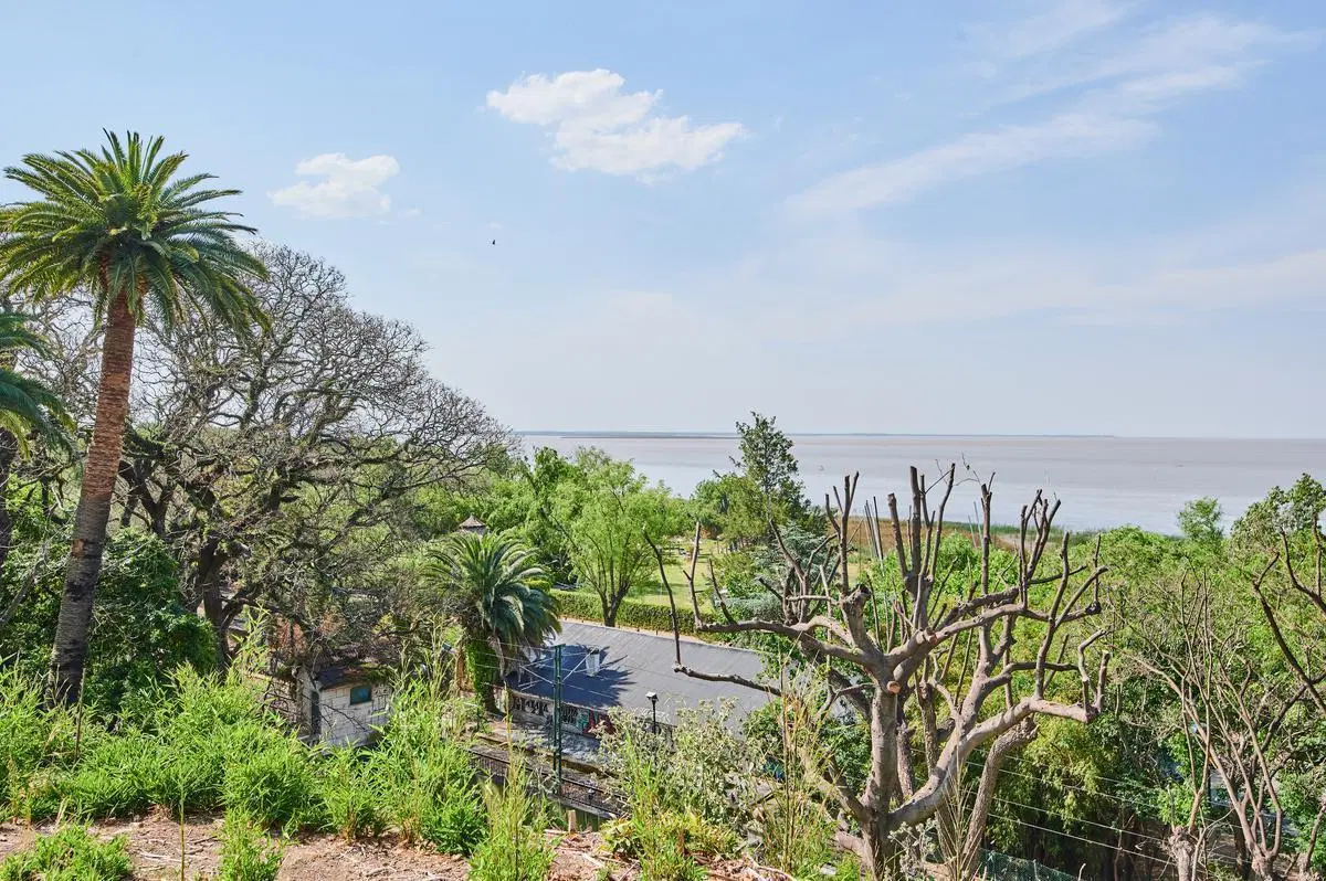FINCA PUEYRREDON 8