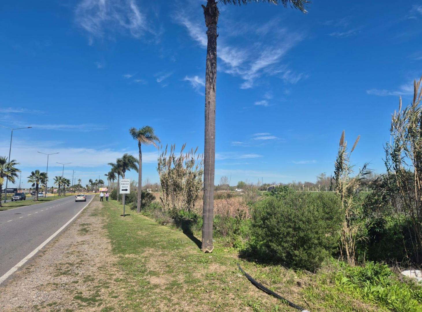 Foto de Terreno comercial en Tigre, imagen 5